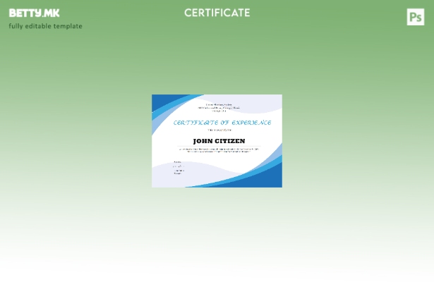 Модерен стил на САД водовод Искуство серт шаблон